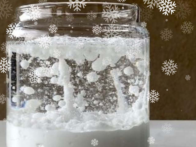 snowstorm in jar maker monday fpl 1.22.2024