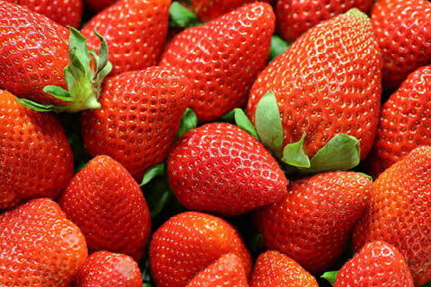 st stephens strawberry festival 6.28.2024