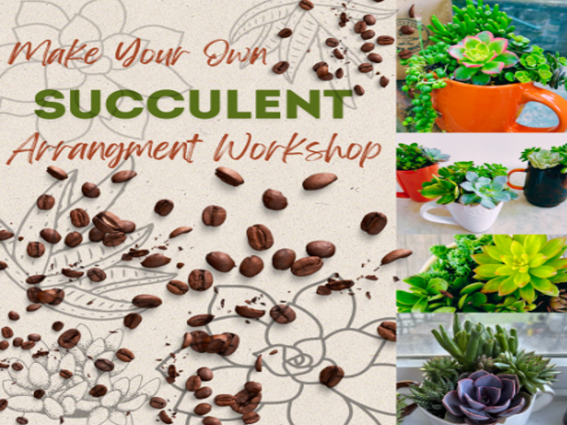 succulentworkshop