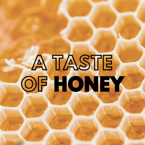 taste of honey beaver lake 6.21.2024