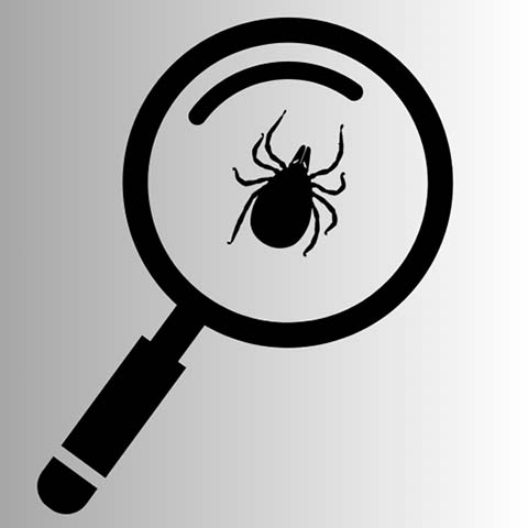tick talk beaver lake 6.26.2024