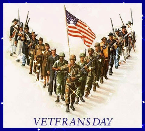 veterans day dinner constantia vfw 11.11.2024