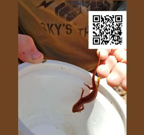 wild for wildlife amboy 4h center 5.5.2024