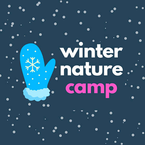 winter nature camp beaver lake 2.19 23.2024