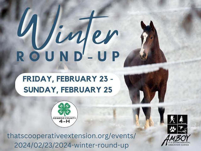 winter round up horse program 2.23 25.2024