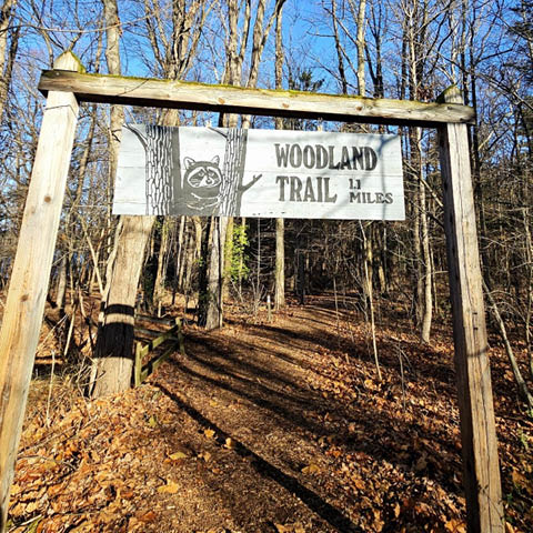woodland wander beaver lake 12.1.2024