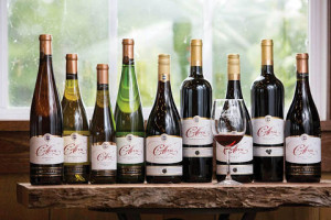 taste italy colloca estate winery tailwater lodge altmar fine dining 4.11.2025