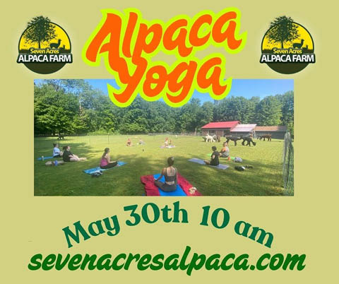 alpaca yoga 7 acres farm 5.30.2025