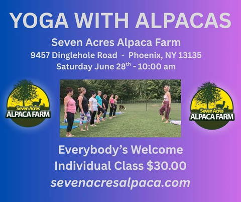 alpaca yoga seven acres farm 6.28.2025