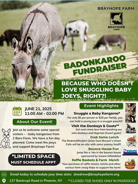 badonkaroo fundraiser brayhope farm phoenix 6.21.2025
