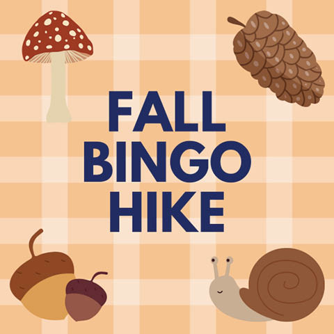 fall bingo hike beaver lake 11.8.2025