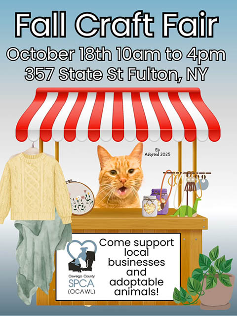 fall craft fair ocawl fulton 10.18.2025