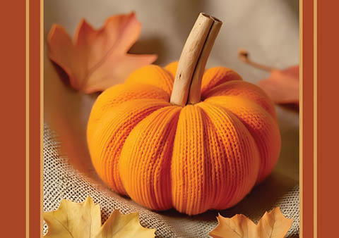 first friday craft club fulton ymca sock pumpkin 11.7.2025