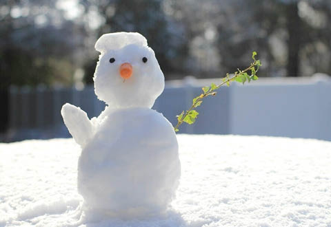 frost fun snowman rice creek field station 12.22.2025