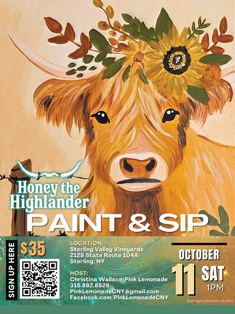 honey highlander cow paint sip pink lemonade sterling valley vineyard 10.11.2025