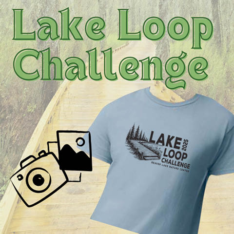 lake loop challenge beaver lake lysander 7.12.2025