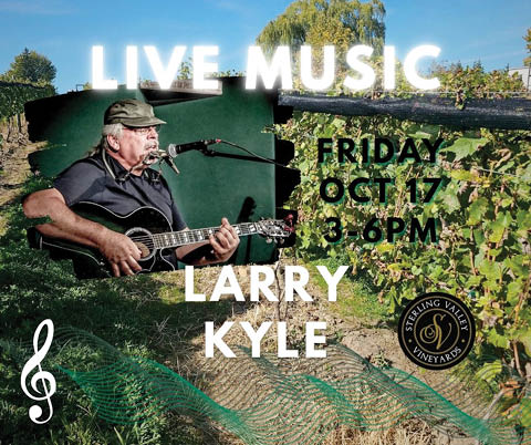 live music larry kyle sterling valley vineyards 10.17.2025