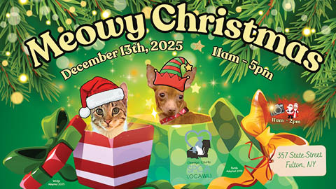 meowy christmas state street church ocawl spca 12.13.2025