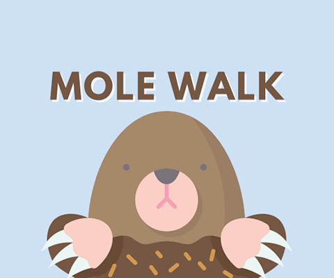 mole walk beaver lake 10.11.2025