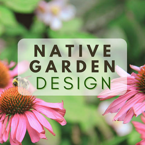 native garden design classes beaver lake january february 2024