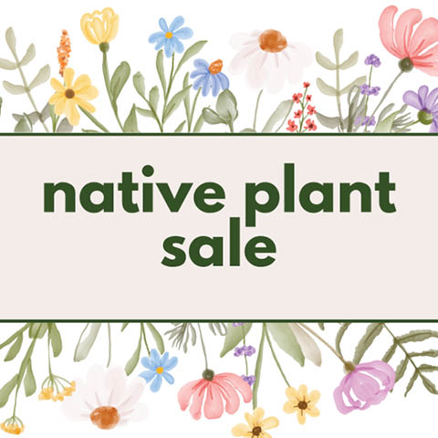 native plant sale beaver lake lysander 2025