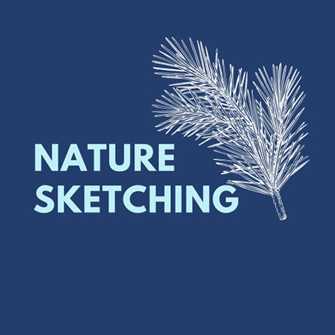 nature sketching beaver lake 1.11.2025