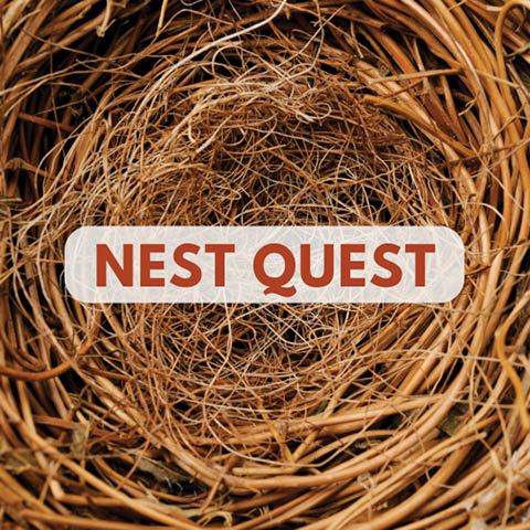 nest quest beaver lake 12.9.2025
