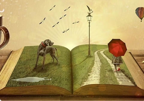 nopl brewerton spanish story saturday 9.13.2025