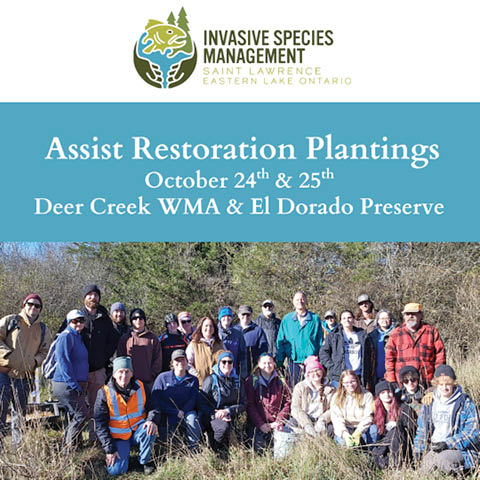 restorative plantings slelo prism deer creek rainbow shores pulaski 10.24.2025