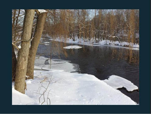 salmon river winter festival 1.17 19.2025 