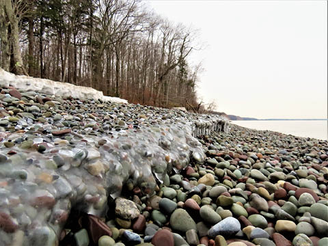 sterling nature center winter events 2025