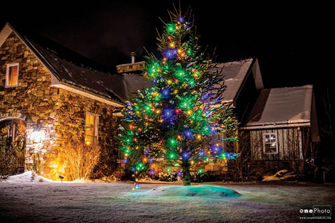 sunday funday sing a long kimo anna sterling colloca estate winery 12.21.2025