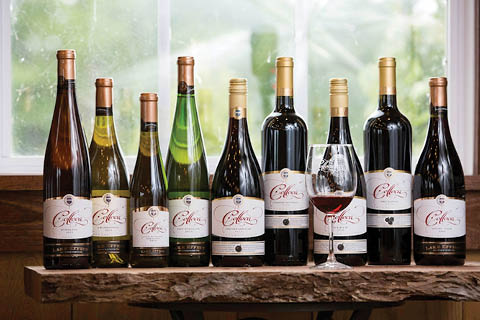 taste italy colloca estate winery tailwater lodge altmar fine dining 4.11.2025