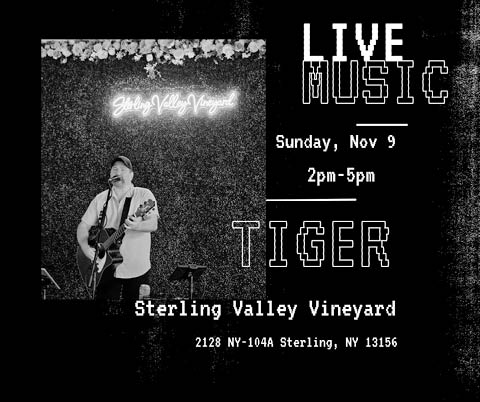 tiger plays sterling valley vineyards 11.9.2025
