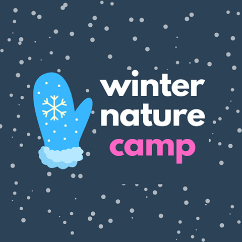 winter nature camp beaver lake february 2025