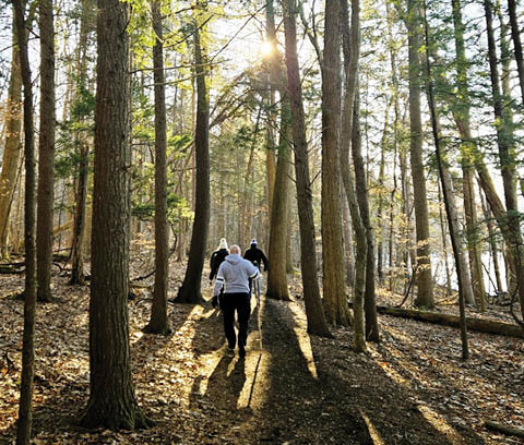 wintertime wander beaver lake 11.30.2025