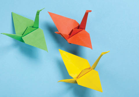 animal origami beaver lake 1.19.2026