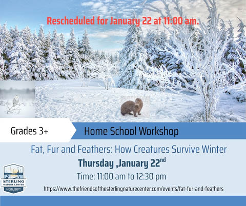 homeschool workshop surviving winter creatures sterling nature center 1.22.2026