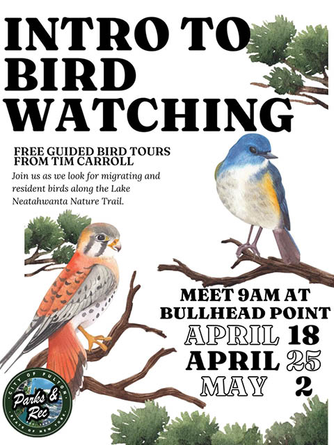intro to bird watching tim carroll bullhead point april may 2026