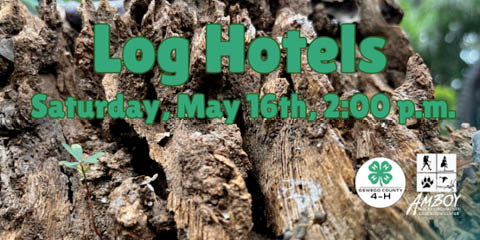 log hotels amboy 4h education center 5.16.2026
