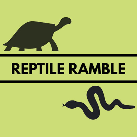 reptile ramble beaver lake 2026