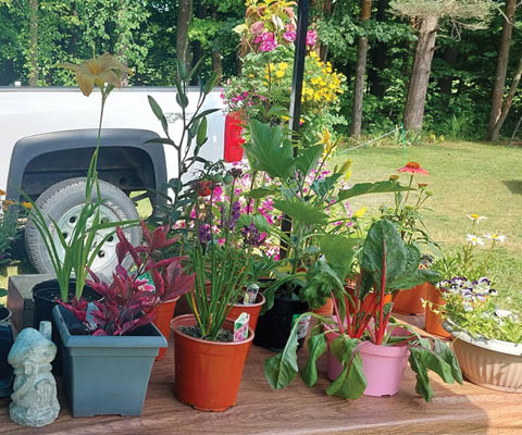 richland farmers market half shire historical society wednesdays summer 2026