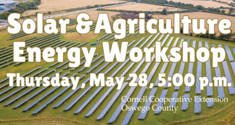 solar ag energy workshop stefanos pizzeria 5.28.2026