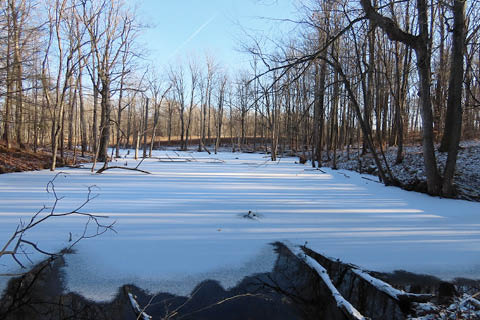 sterling nature center winter events 2025 2026