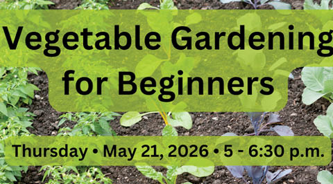 veg gardening beginners faith united church 5.21.2026