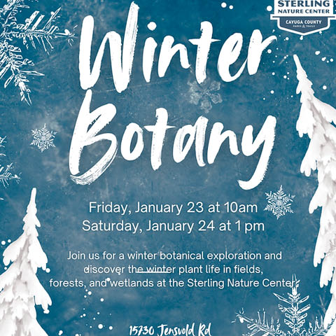 winter botany exploration sterling nature center 1.23 24.2026