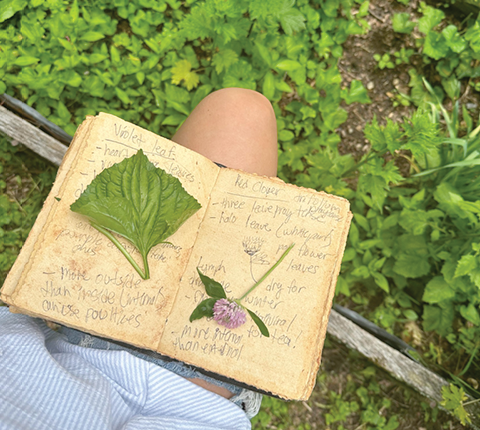 winter medicine travis floral 1.9.2026