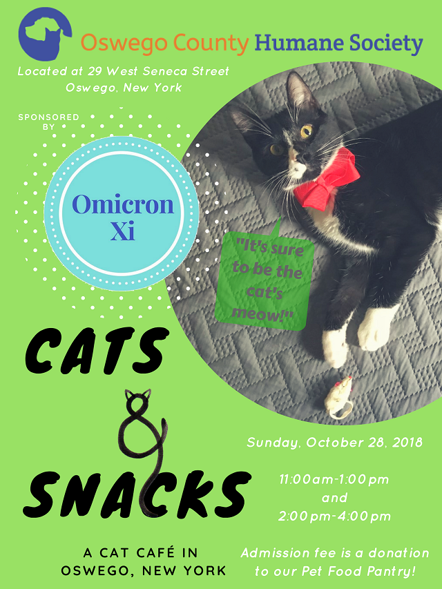 Cats Snacks poster