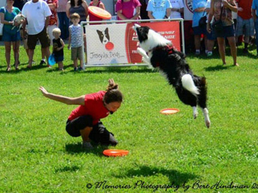 Flying Dogs and Discs 