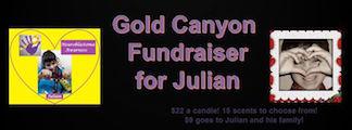 Gold Canyon Fundrauser for Julian